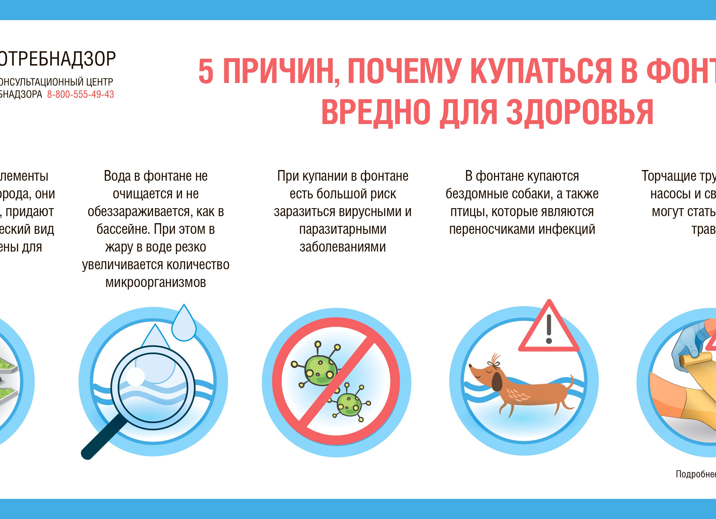 Почему нельзя купаться в фонтанах