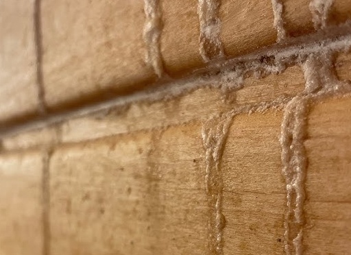 Не делайте этого в бане!